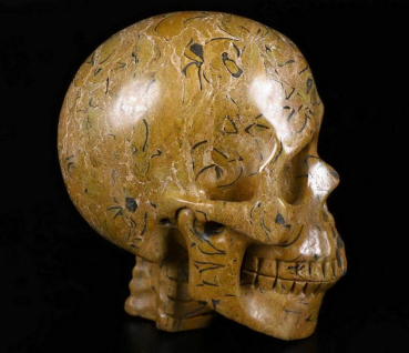 Floriated Jasper Skull